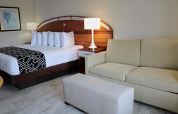 Single King Handicap Room